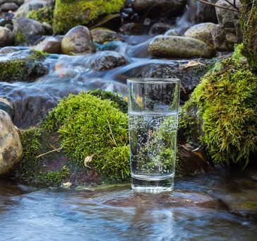 Glas Wasser vor einem Gebirgsfluss